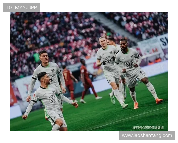 2018年德甲新晋球队介绍及赛季表现