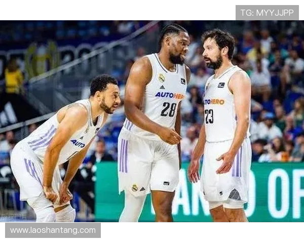 西甲男篮直播视频资源介绍及精彩赛事推荐